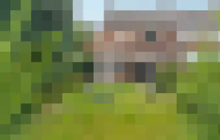 Romeinenstraat 48 Kerkrade thumbnail 27