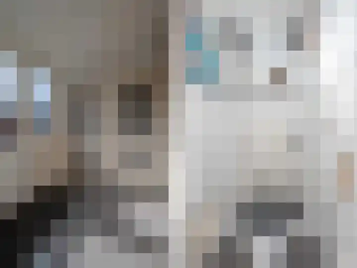 Romeinenstraat 6 Katwijk thumbnail 20