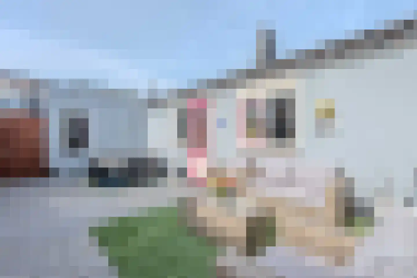 Romeinenstraat 6 Katwijk thumbnail 27