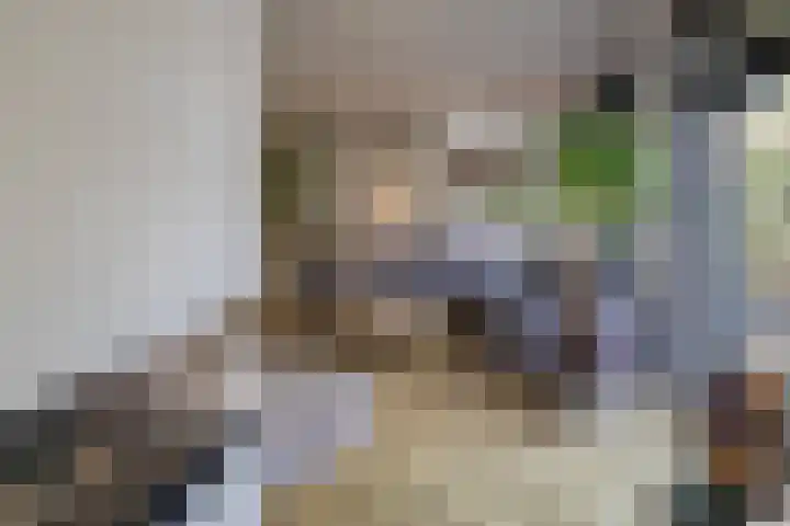 Romeinenstraat 8 Haarlem thumbnail 38