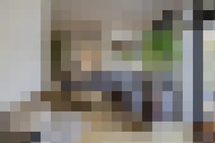 Romeinenstraat 8 Haarlem thumbnail 39
