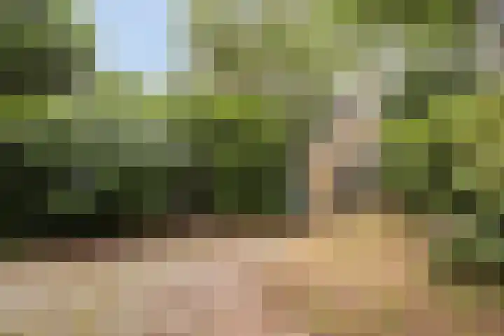 Romeinlaan 2 Heemstede thumbnail 15