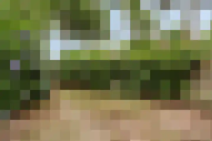 Romeinlaan 2 Heemstede thumbnail 4