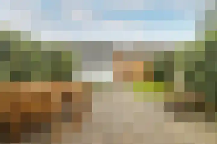 Romeinlaan 22 Heemstede thumbnail 22