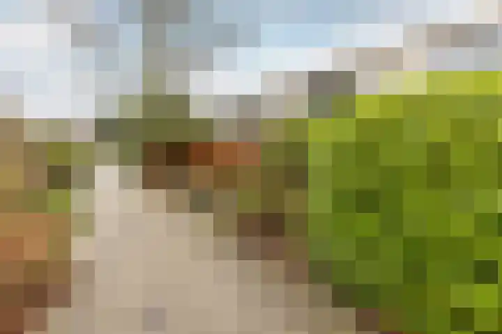 Romeinlaan 22 Heemstede thumbnail 23
