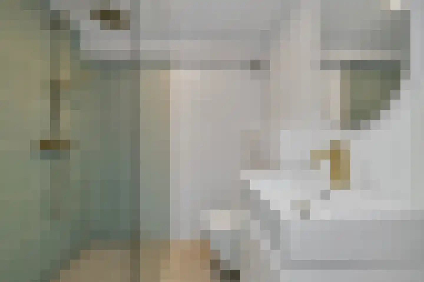 Romeinlaan 7 Heemstede thumbnail 10