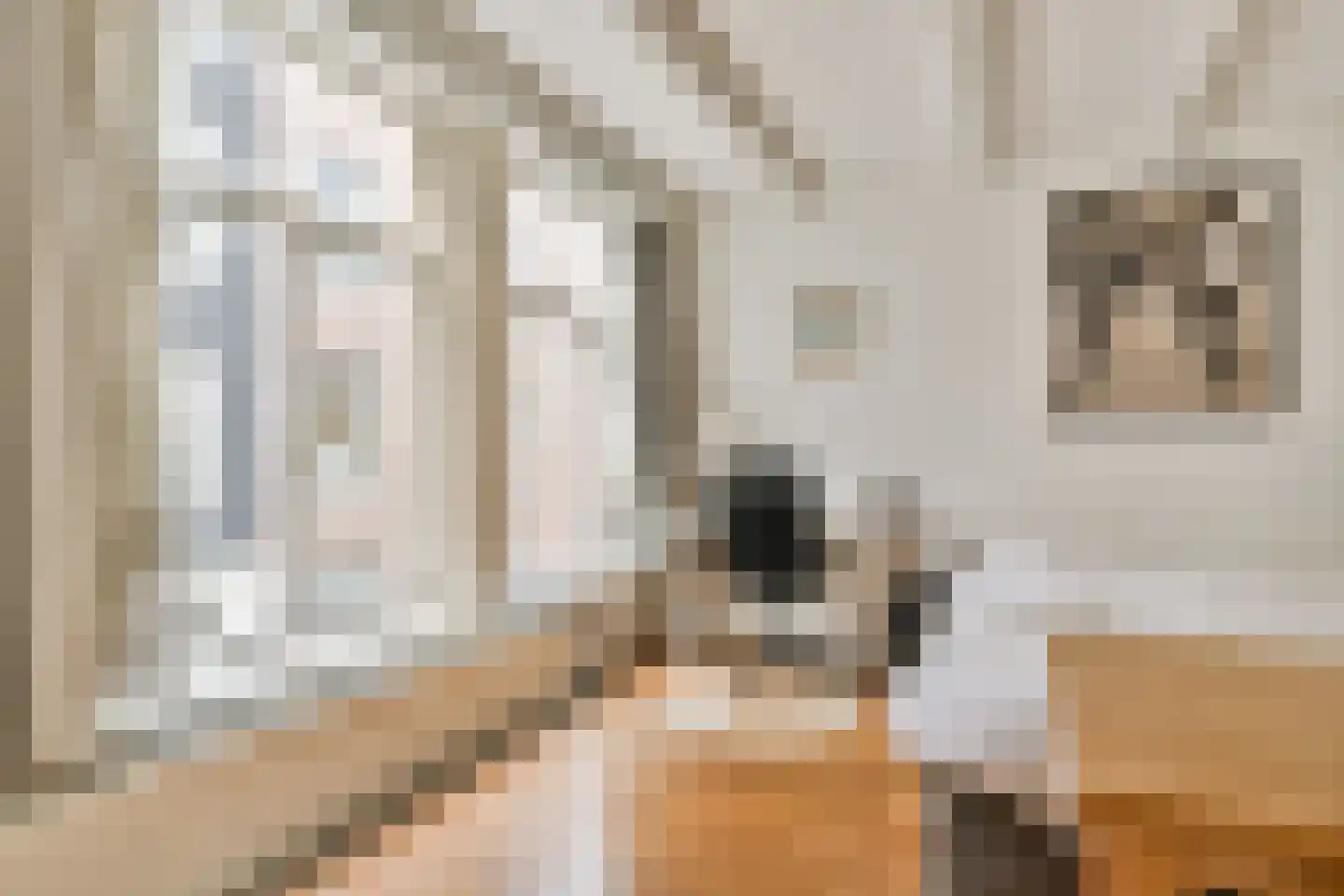 Romeinsarmsteeg 8 1 Amsterdam thumbnail 17