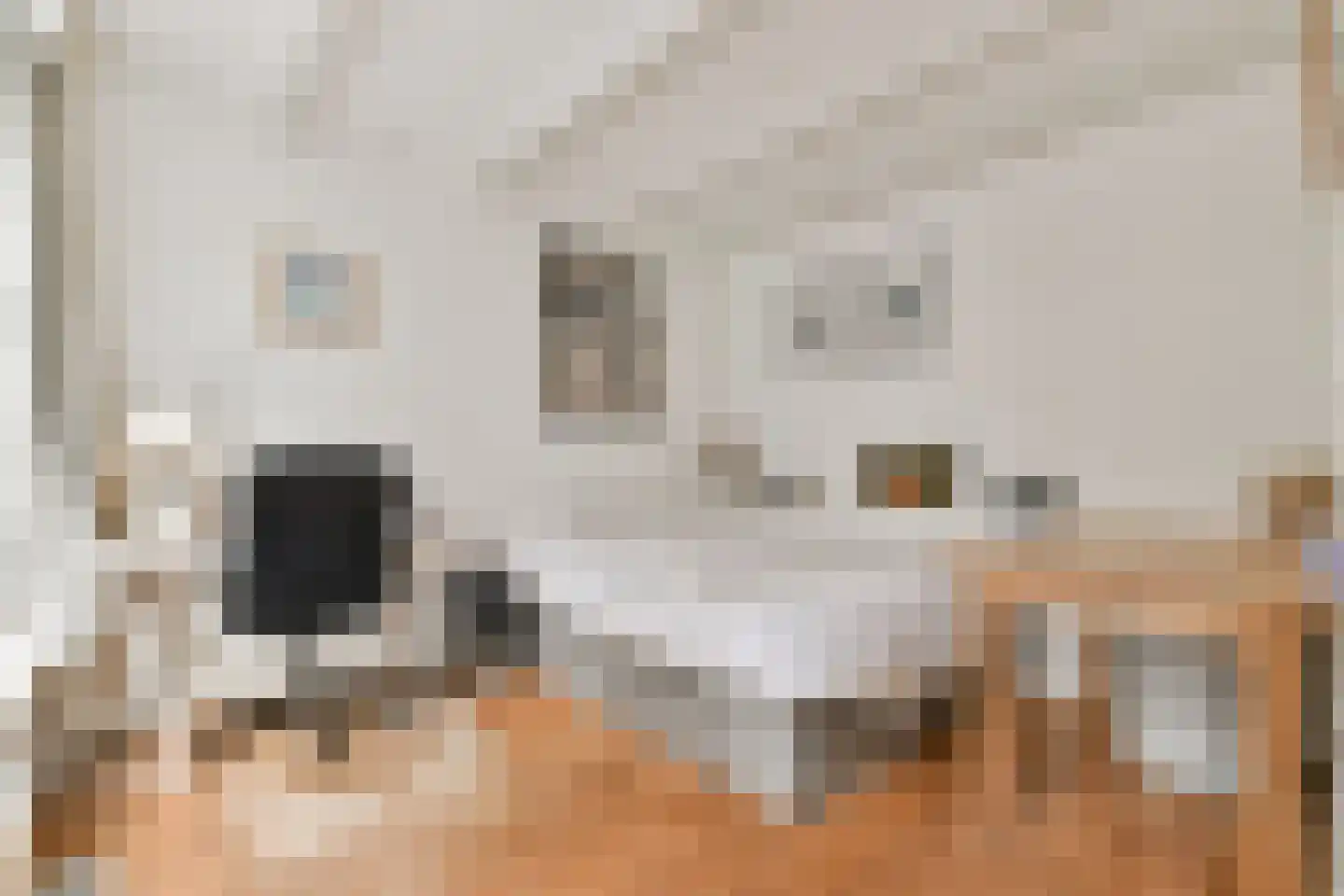 Romeinsarmsteeg 8 1 Amsterdam thumbnail 18