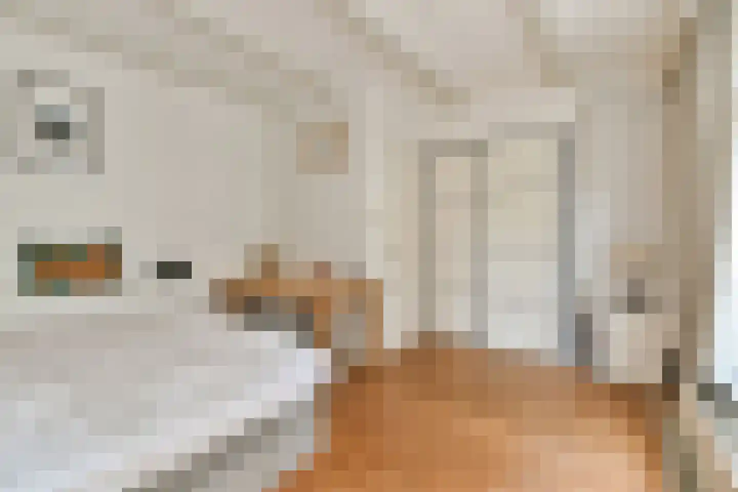 Romeinsarmsteeg 8 1 Amsterdam thumbnail 19