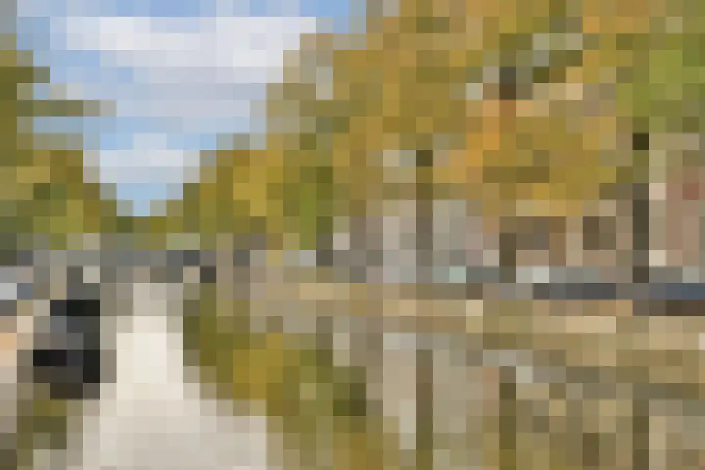Romeinsarmsteeg 8 1 Amsterdam thumbnail 36