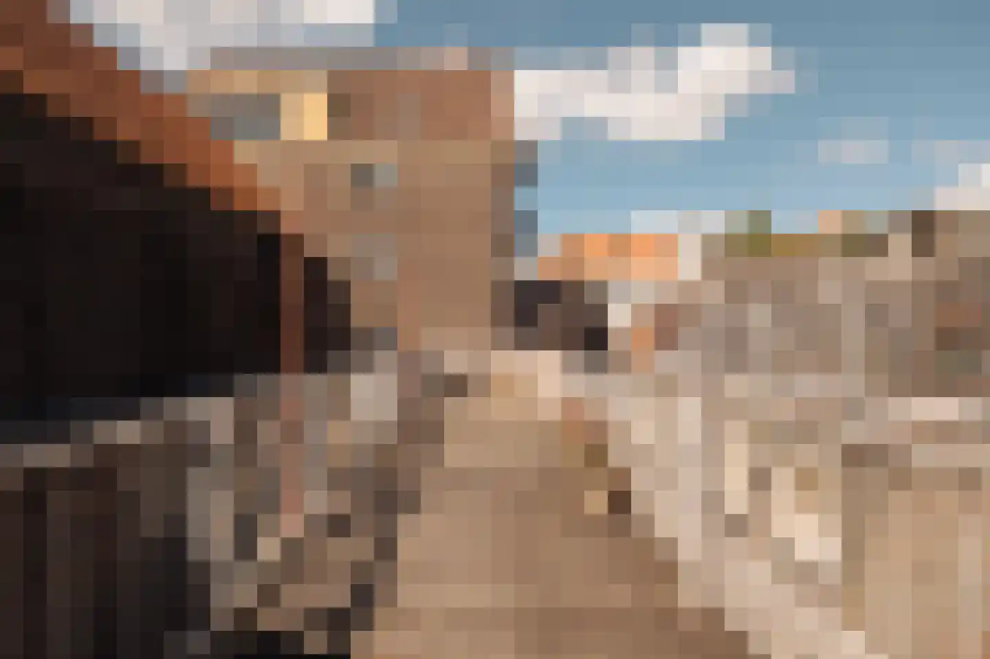 Romeinsarmsteeg 8 1 Amsterdam thumbnail 40