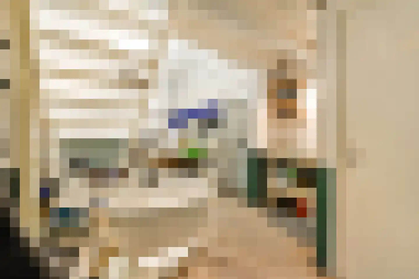 Romeinsarmsteeg 8 1 Amsterdam thumbnail 42