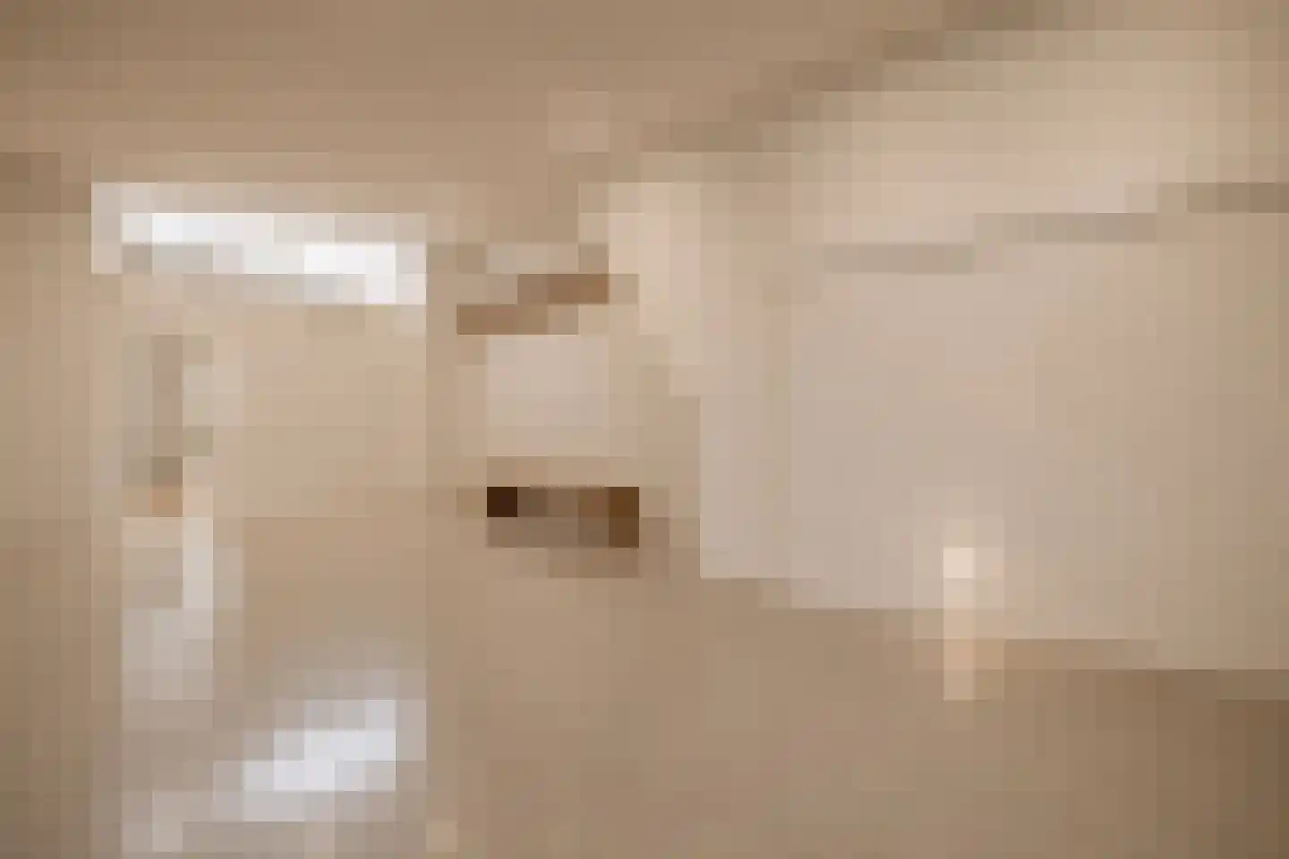 Romeinsarmsteeg 8 1 Amsterdam thumbnail 8