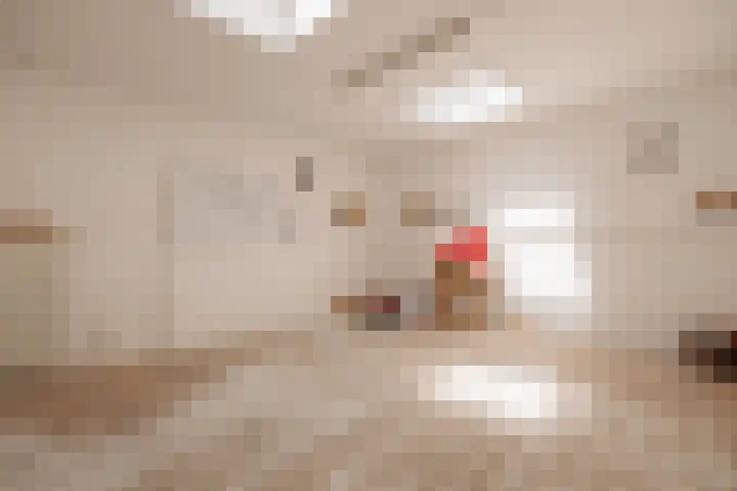 Romeinsarmsteeg 8 H Amsterdam thumbnail 14
