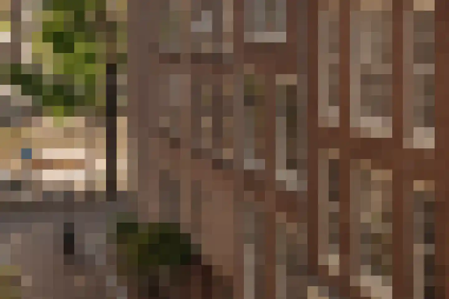 Romeinsarmsteeg 8 H Amsterdam thumbnail 35