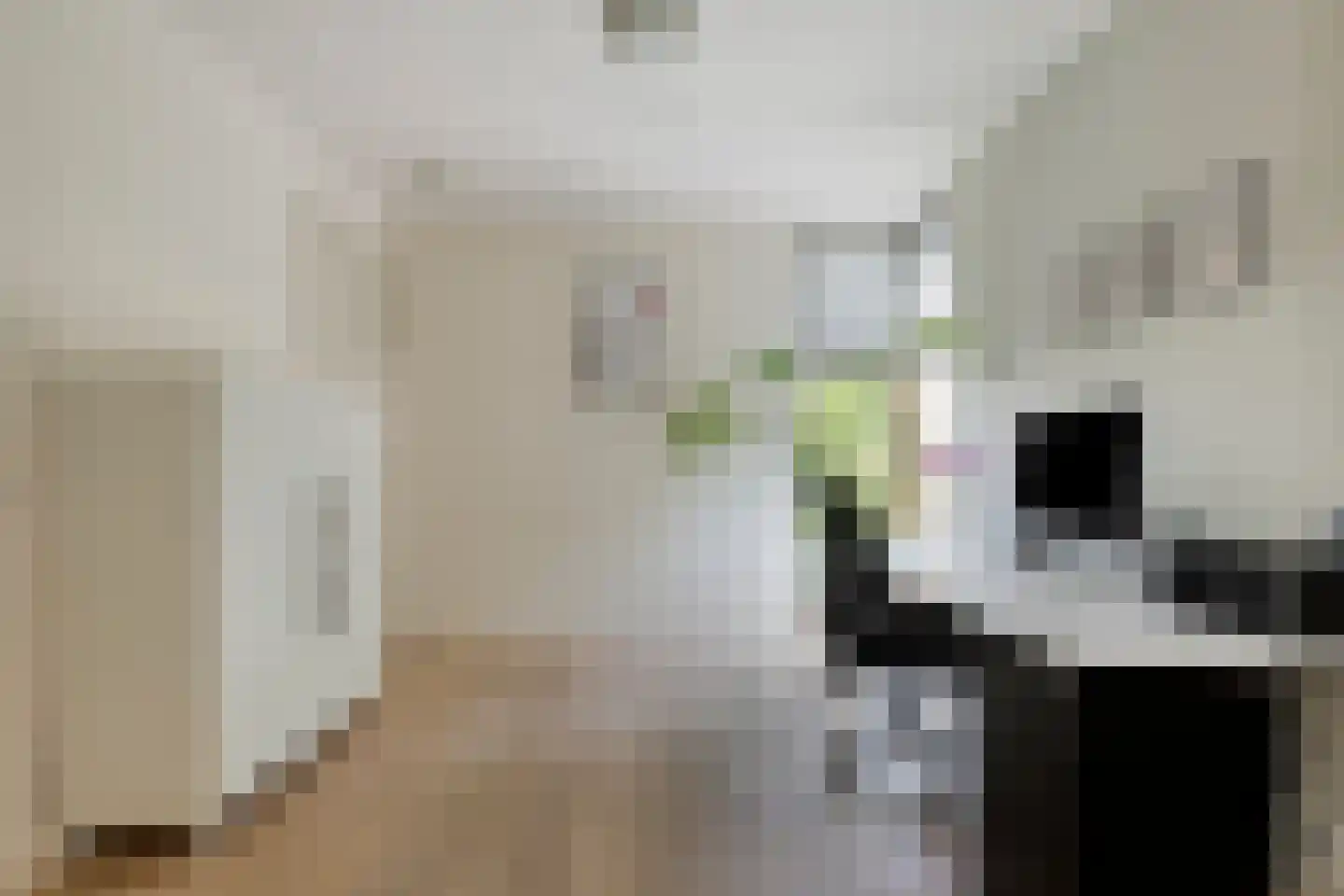 Romeinse Tijd 8 Goirle thumbnail 20