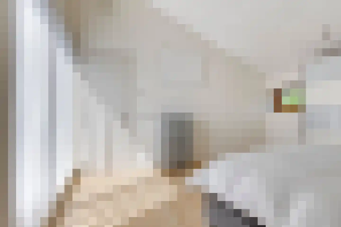 Romeinse Tijd 8 Goirle thumbnail 28