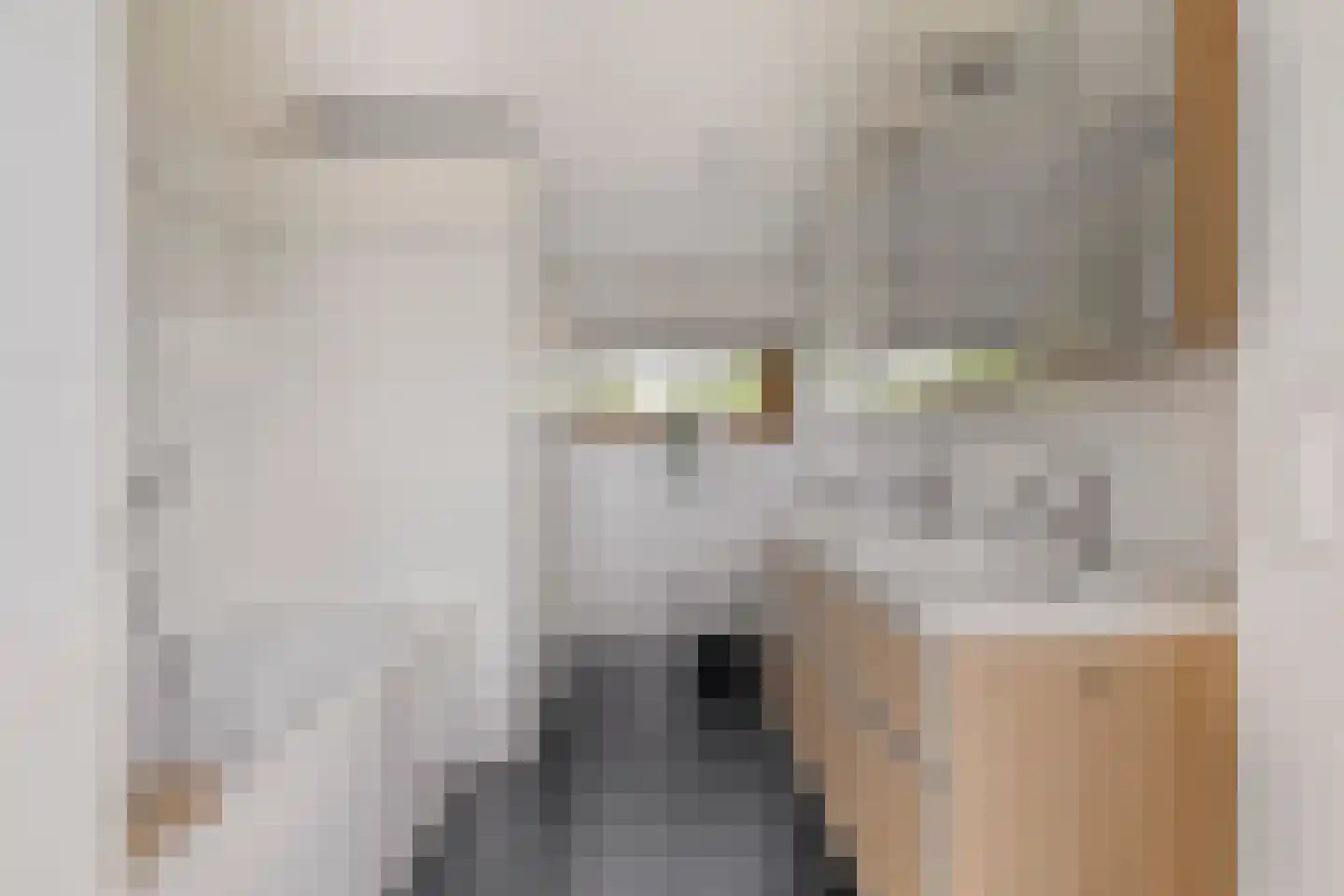 Romeinse Tijd 8 Goirle thumbnail 30