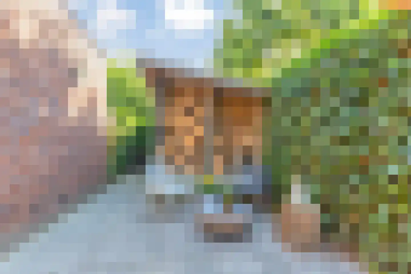 Romeinse Tijd 8 Goirle thumbnail 54
