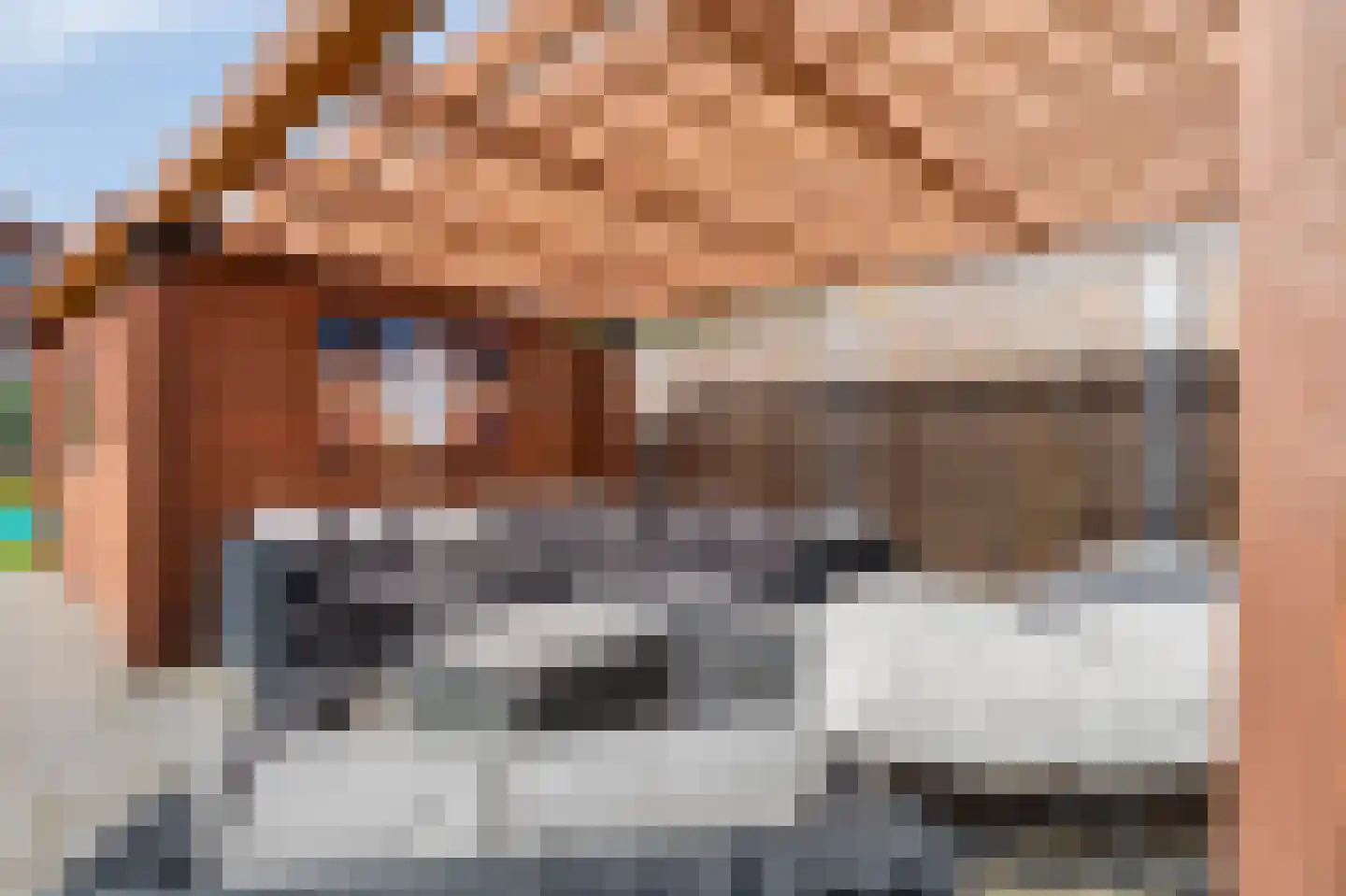 Romeinse Weg 30 Sittard thumbnail 36