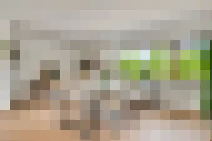 Romeinse Weg 33 Sittard thumbnail 11