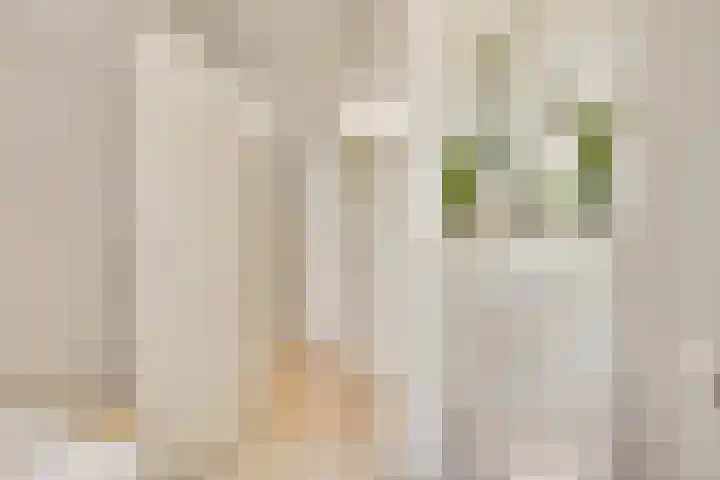 Romeinse Weg 33 Sittard thumbnail 17