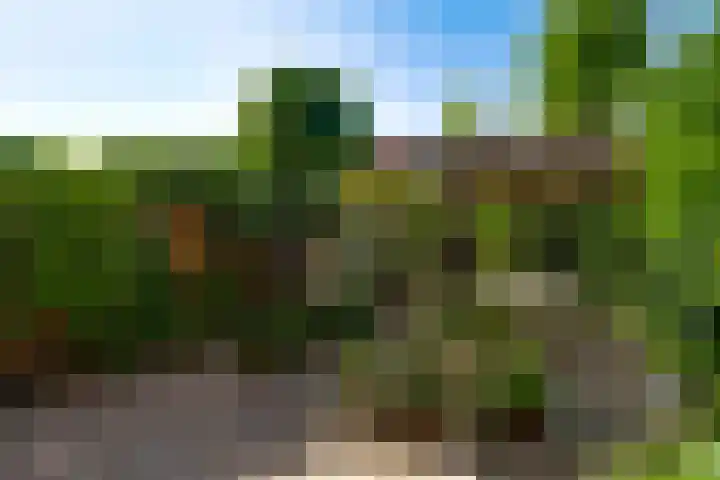 Romeinse Weg 33 Sittard thumbnail 18