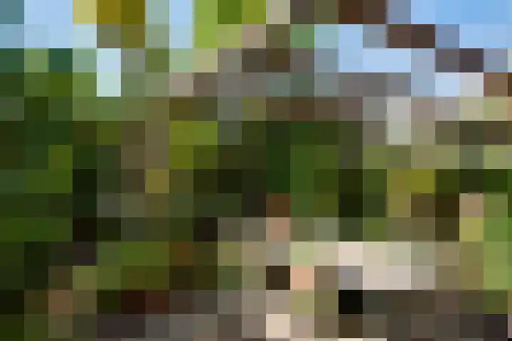 Romeinse Weg 33 Sittard thumbnail 19