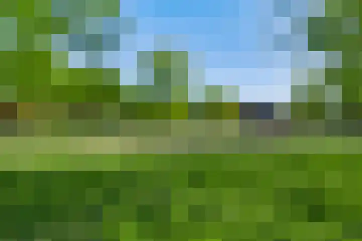 Romeinse Weg 33 Sittard thumbnail 22