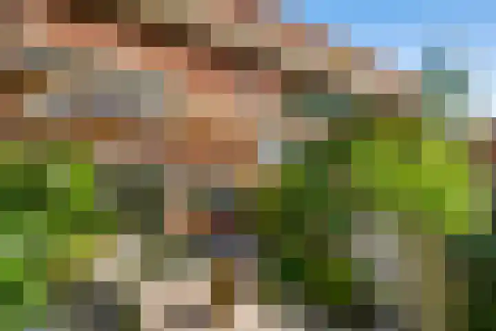 Romeinse Weg 33 Sittard thumbnail 4