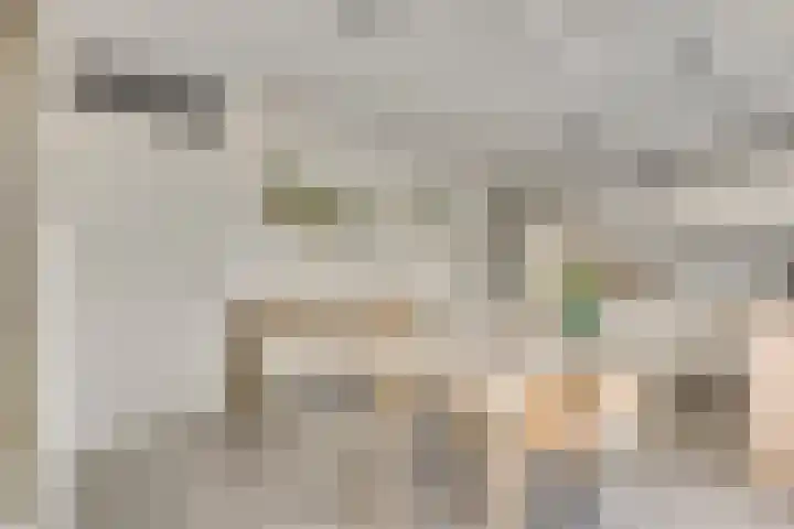 Romeinse Weg 33 Sittard thumbnail 6
