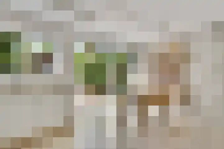 Romeinse Weg 33 Sittard thumbnail 7
