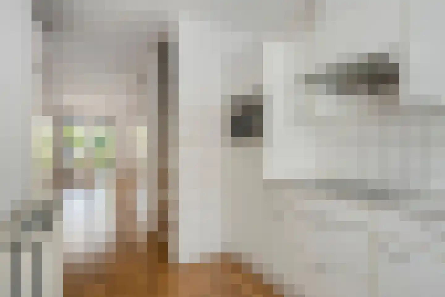 Romeinse Weg 42 Sittard thumbnail 11