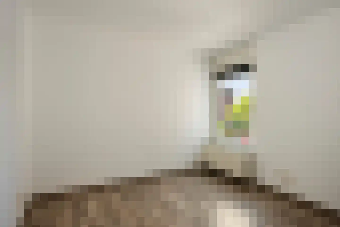 Romeinse Weg 42 Sittard thumbnail 21