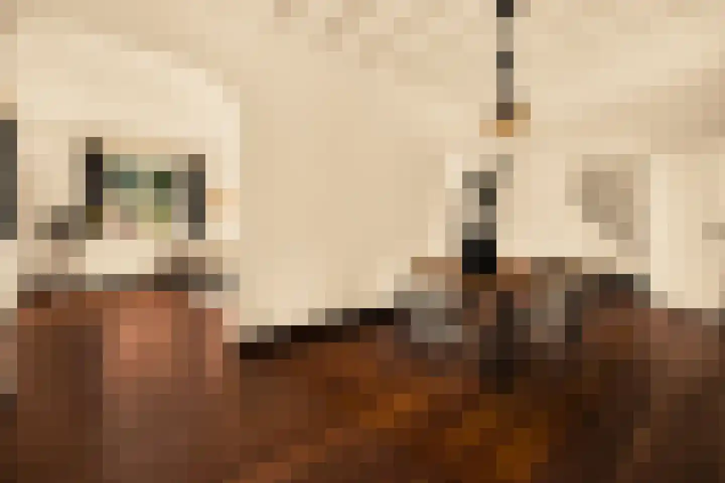 Romeinstraat 1 Deurne thumbnail 10