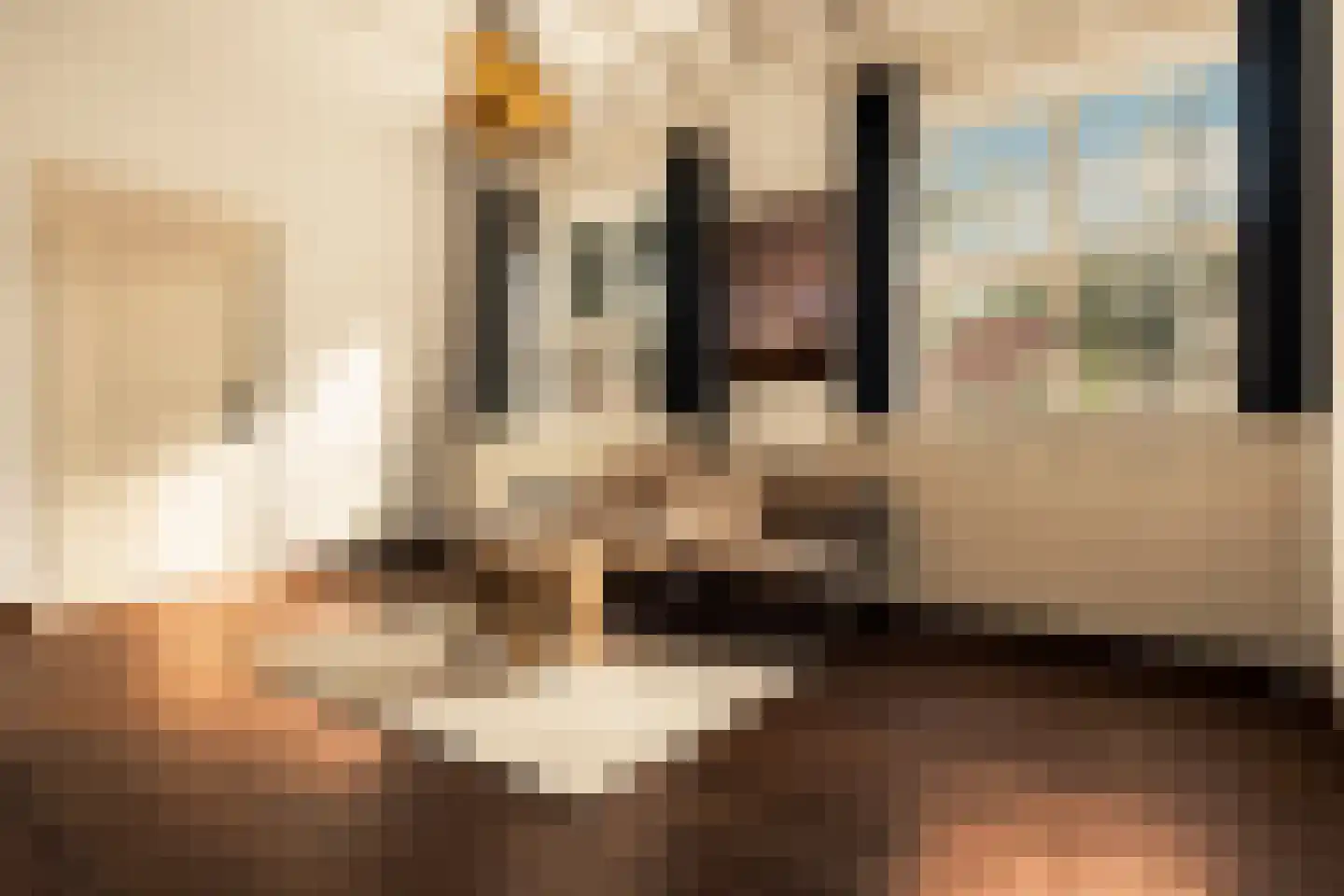 Romeinstraat 1 Deurne thumbnail 12