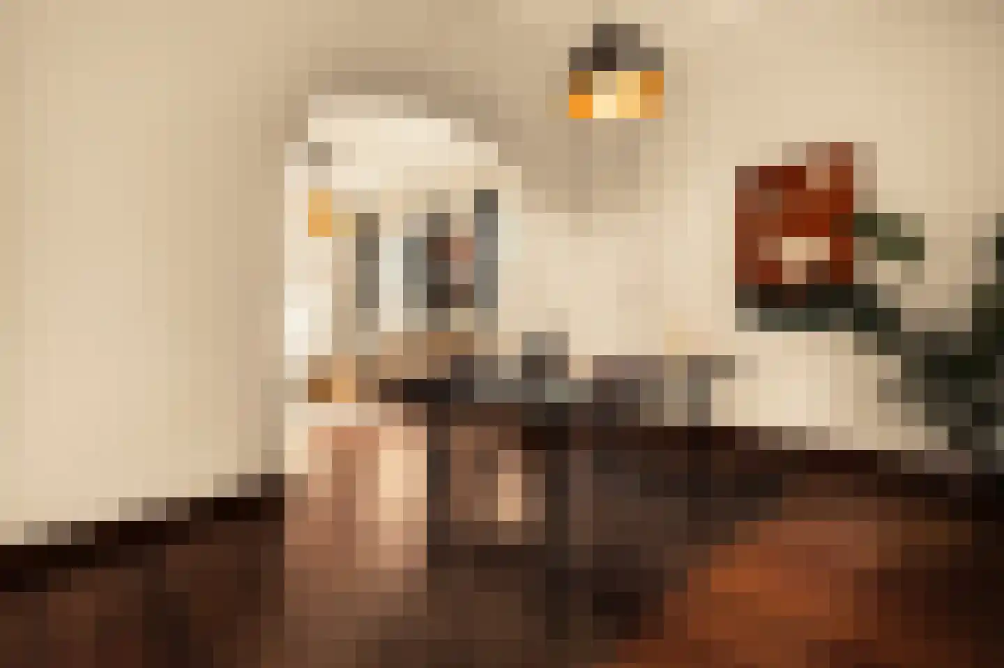 Romeinstraat 1 Deurne thumbnail 14
