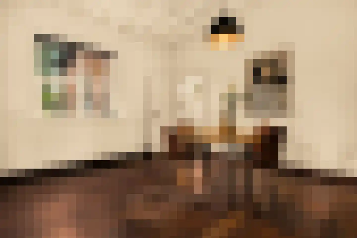 Romeinstraat 1 Deurne thumbnail 15