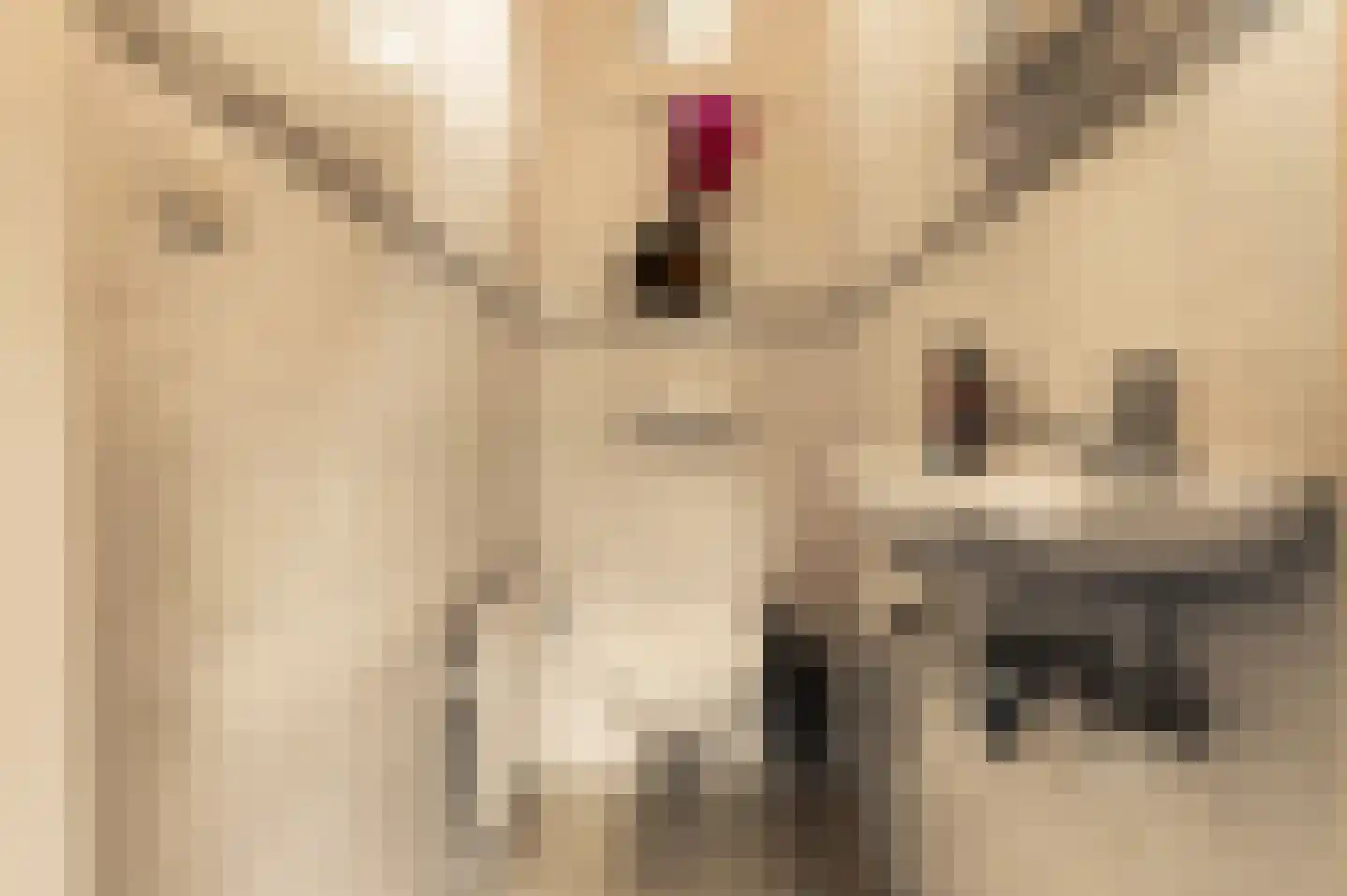 Romeinstraat 1 Deurne thumbnail 20