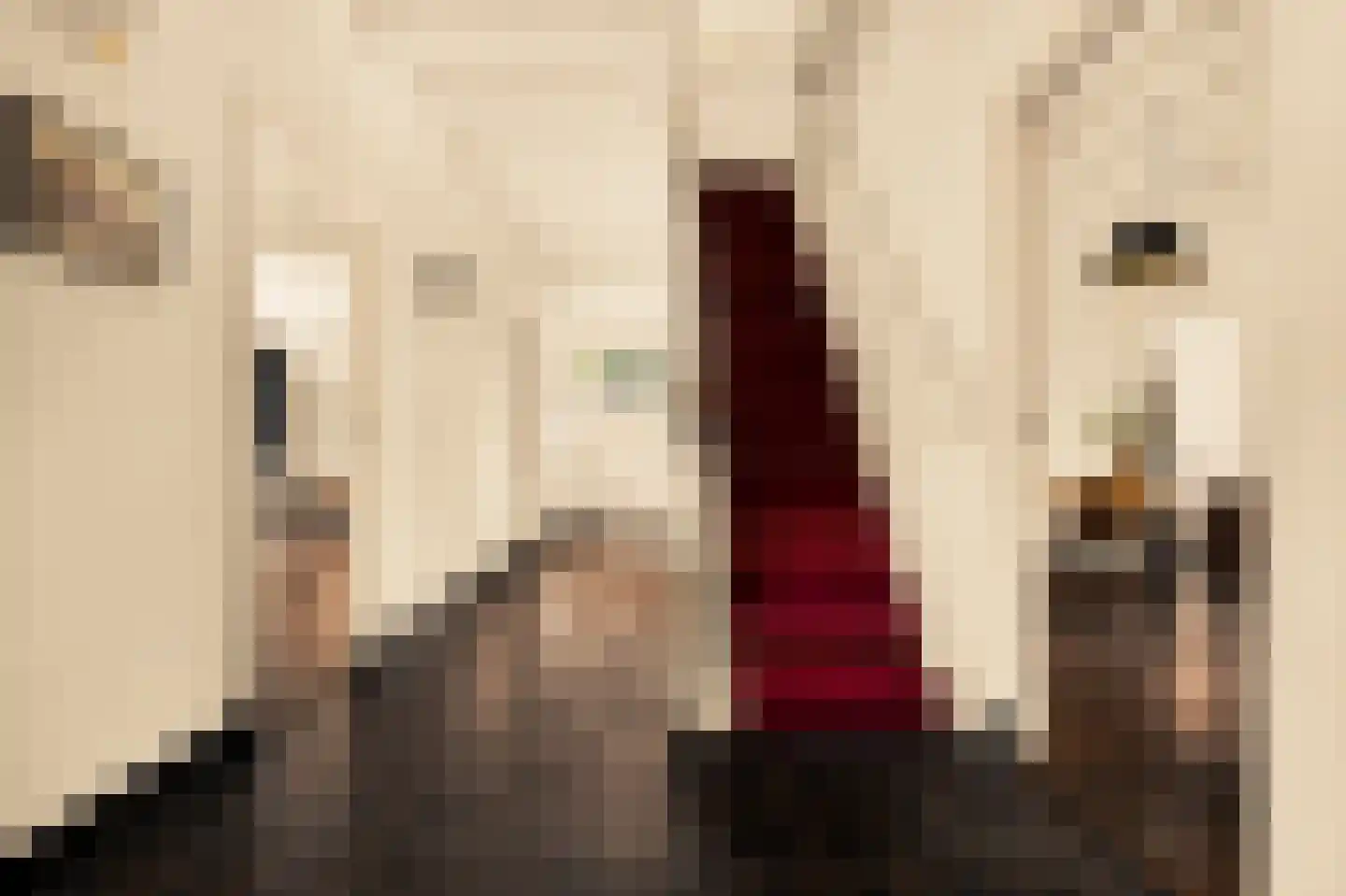 Romeinstraat 1 Deurne thumbnail 21