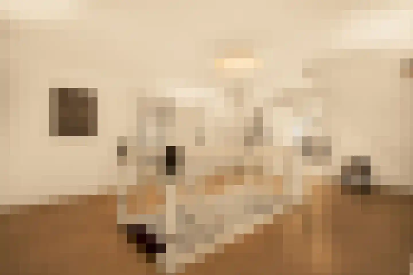 Romeinstraat 1 Deurne thumbnail 22