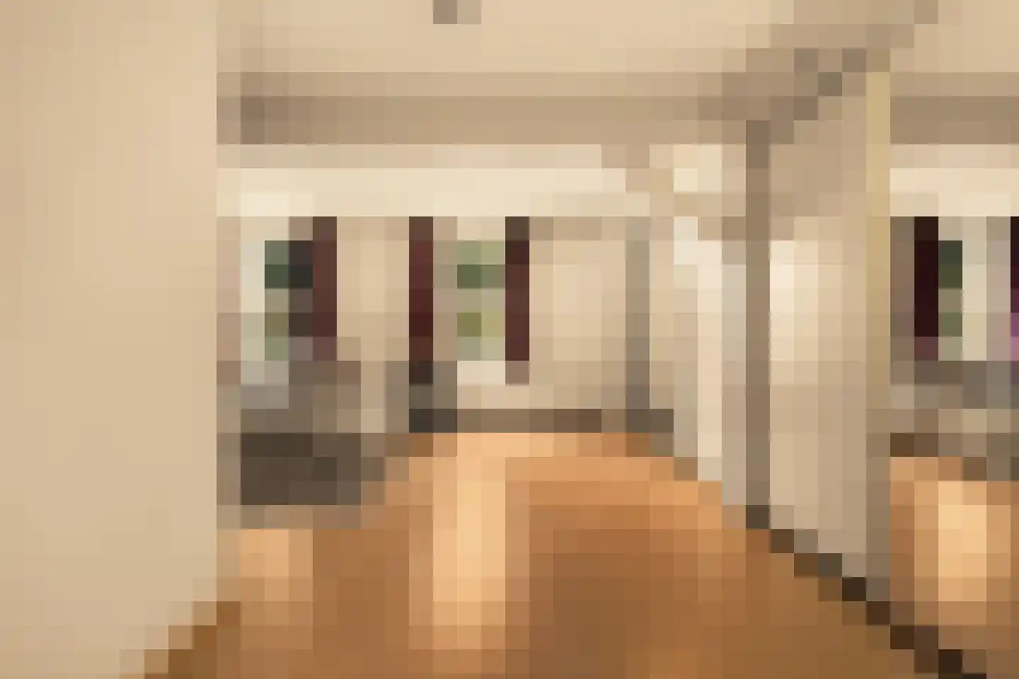 Romeinstraat 1 Deurne thumbnail 23