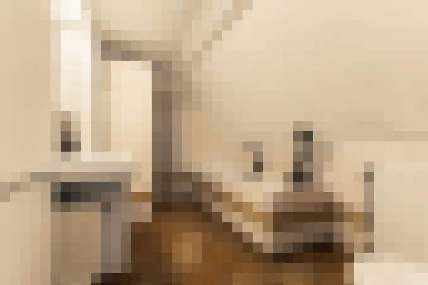 Romeinstraat 1 Deurne thumbnail 26