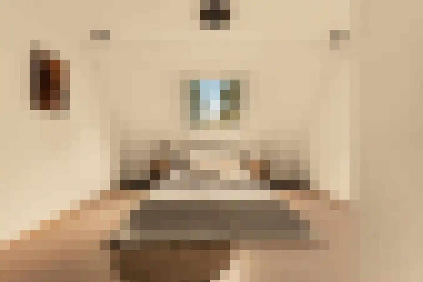 Romeinstraat 1 Deurne thumbnail 30