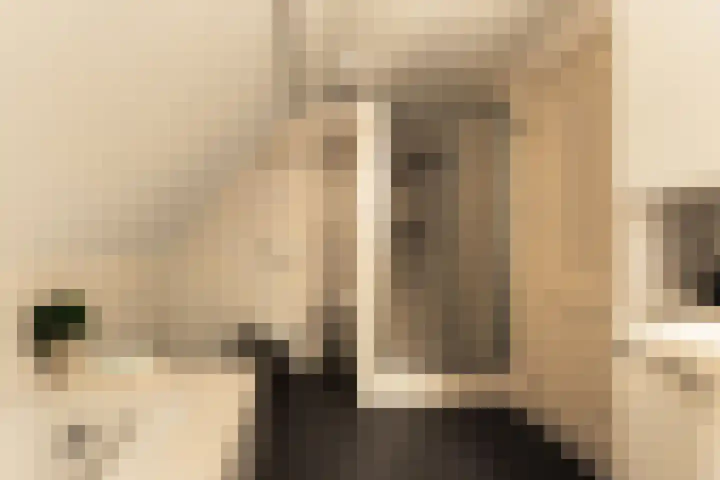 Romeinstraat 1 Deurne thumbnail 34