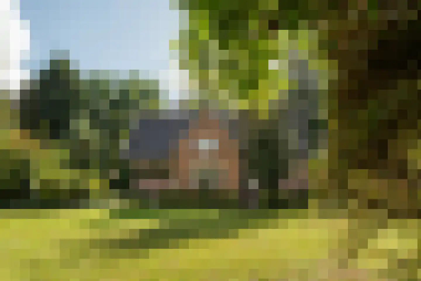 Romeinstraat 1 Deurne thumbnail 36
