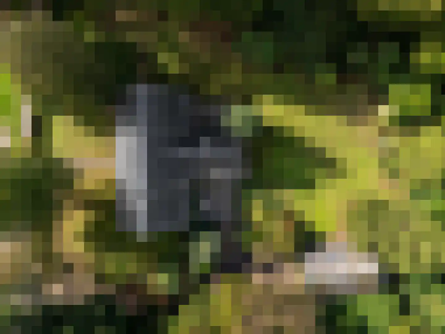 Romeinstraat 1 Deurne thumbnail 37