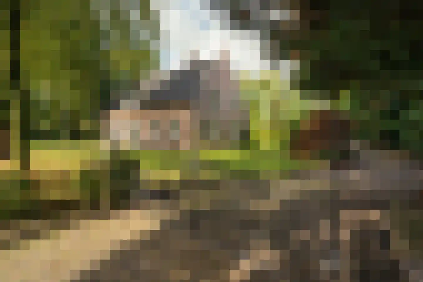 Romeinstraat 1 Deurne thumbnail 4