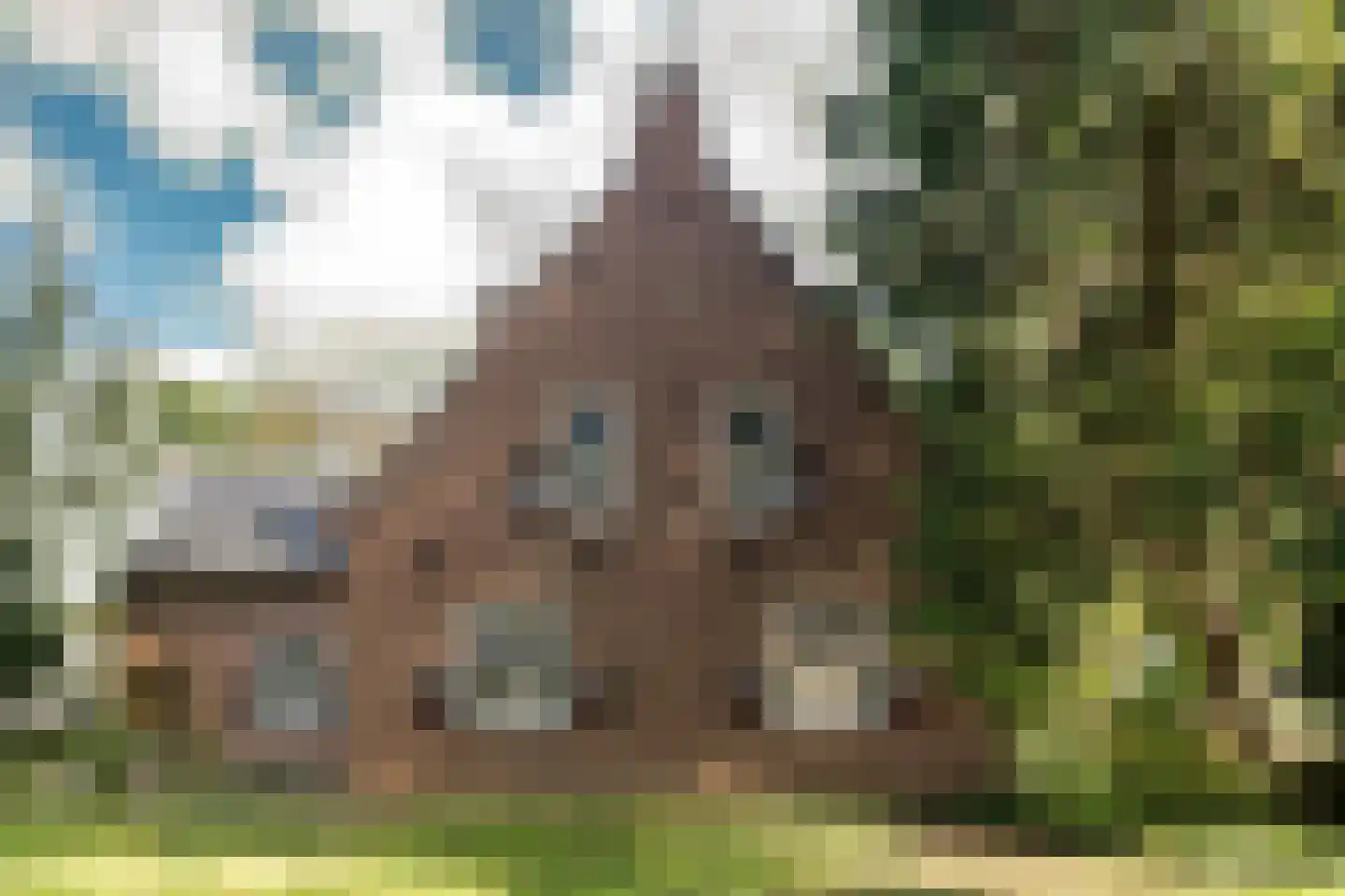 Romeinstraat 1 Deurne thumbnail 40