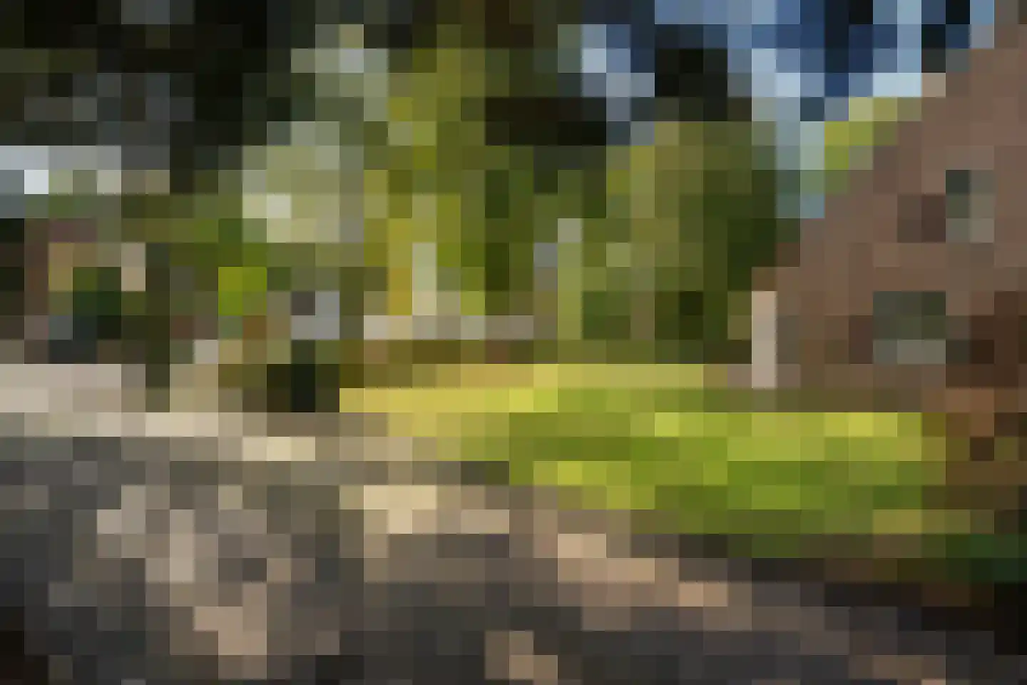 Romeinstraat 1 Deurne thumbnail 42